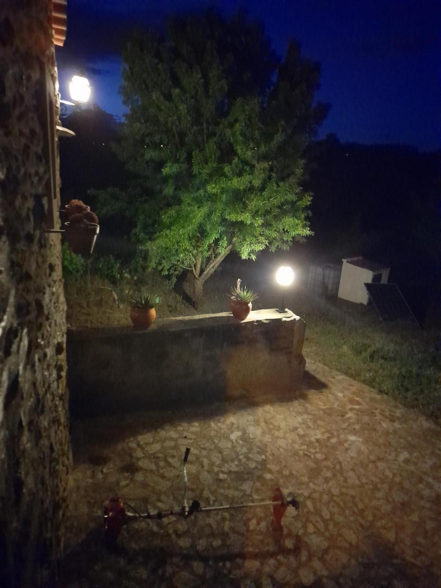 הוילה Fundão Casa Do Salgueiral חדר תמונה