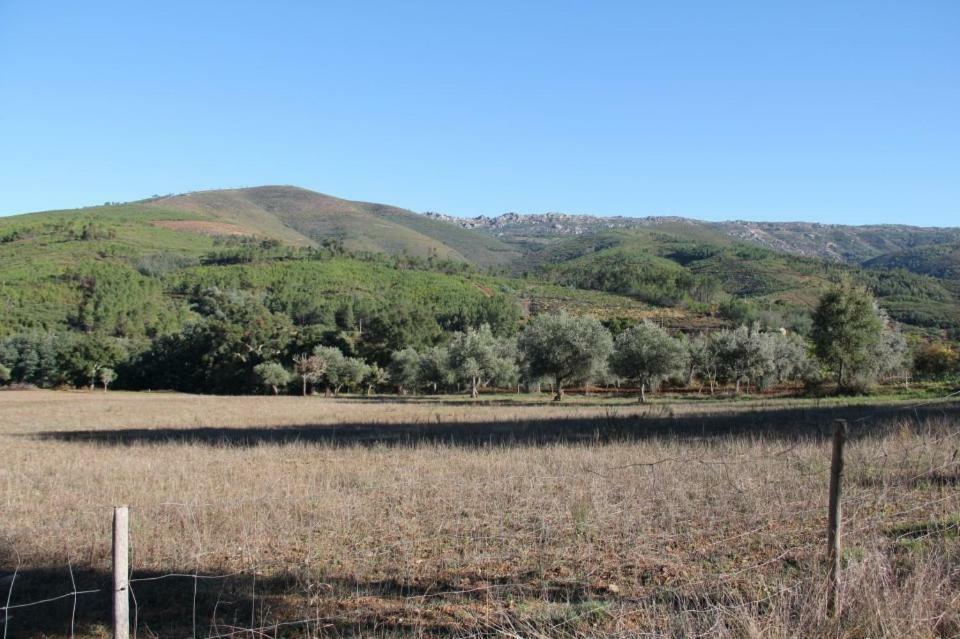 הוילה Fundão Casa Do Salgueiral מראה חיצוני תמונה